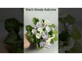 Mac's Simply SubLime (G. McDonald) Mac's Simply SubLime (G. McDonald)