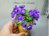 Blooper (A.Murphy) Blooper (A.Murphy)