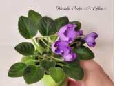 Florida Belle (B. Elkin)