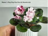 Hunter`s Plop Plop Fizz Fizz (K.Muzalewski)