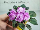 Hunter's Aria (K. Muzalewski)