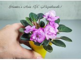 Hunter's Aria (K. Muzalewski) Hunter's Aria (K. Muzalewski)