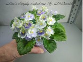 Mac's Simply SubLime (G. McDonald)