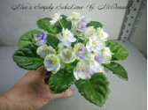 Mac's Simply SubLime (G. McDonald) Mac's Simply SubLime (G. McDonald)