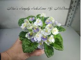 Mac's Simply SubLime (G. McDonald) Mac's Simply SubLime (G. McDonald)