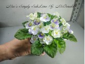 Mac's Simply SubLime (G. McDonald) Mac's Simply SubLime (G. McDonald)