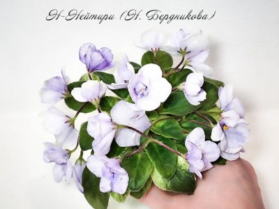 Фиалка Н-Нейтири (Н. Бердникова) Фиалка Н-Нейтири (Н. Бердникова)