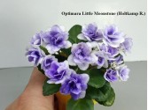 Фіалка Optimara Little Moonstone (Holtkamp R.)